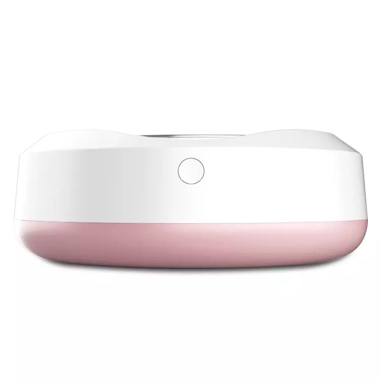 Luxury Pet portable automatic feeder