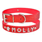 DIY alphabet dog collars in red with sparkly letters spelling MOLLY for personalized pet accessories.