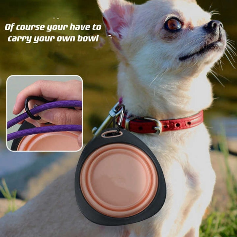 Candy Color Dog Folding Bowl Outdoor Travel Pet Feeding