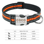 custom reflective pet collar tag with adjustable sizes and sturdy buckle for medium to large dogs