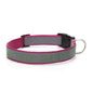 Embroidered Reflective Dog Collar